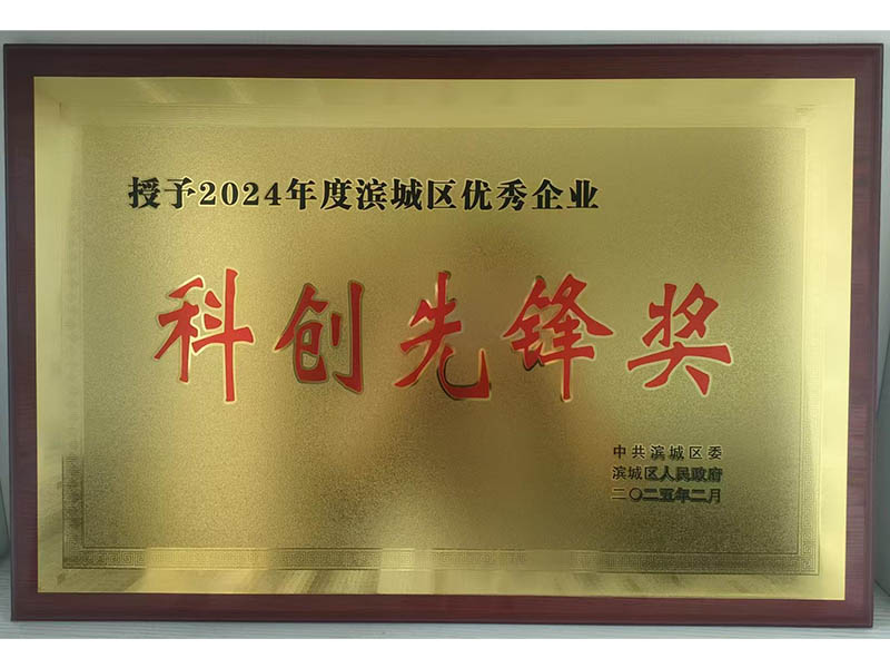 濱城區優(yōu)秀企業(yè)科創(chuàng  )先鋒獎